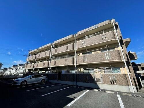 栃木県宇都宮市御幸ケ原町 賃貸マンション