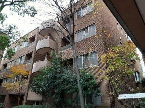 東京都江戸川区松島３丁目 5階建 築35年5ヶ月
