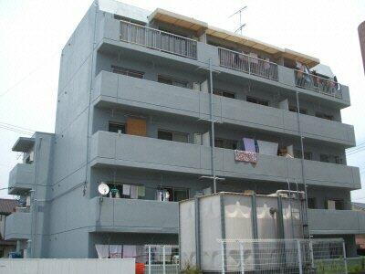 第１３杉フラット・ 5階建