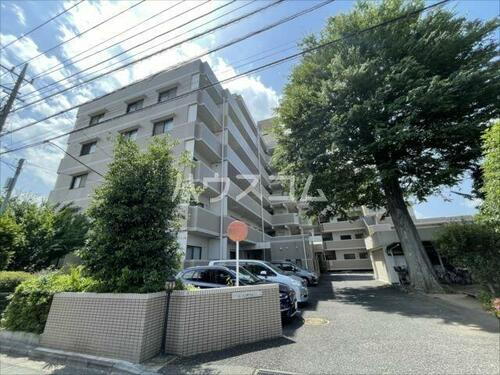 埼玉県さいたま市南区根岸１丁目 賃貸マンション