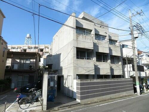 サンフラワー桜台