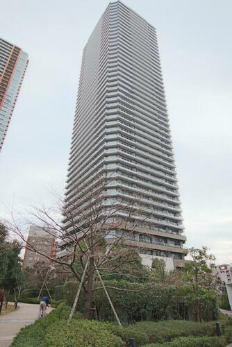 リエトコート武蔵小杉ザクラッシータワー 地上45階地下2階建