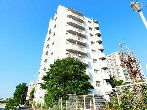 千葉県松戸市根本 築39年10ヶ月 9階建