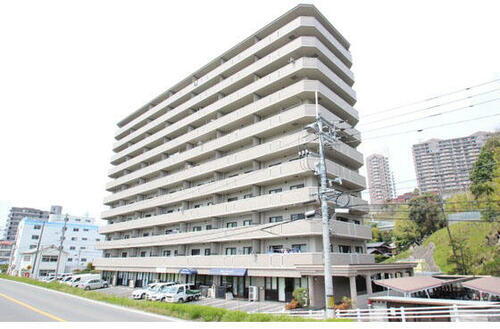 ロイヤル竜王 11階建