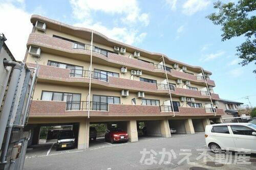 徳島県小松島市金磯町 賃貸マンション