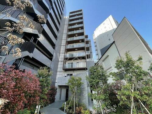 東京都墨田区向島５丁目 11階建