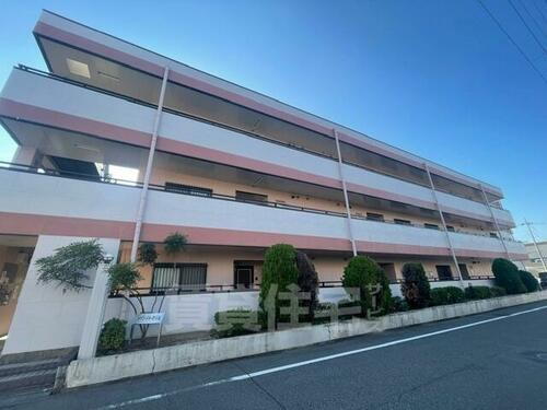 大阪府泉大津市宮町 3階建 築24年11ヶ月