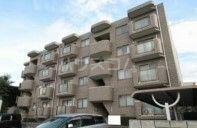 静岡県袋井市川井 賃貸マンション