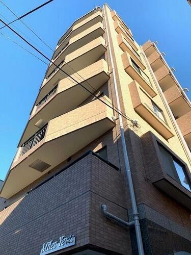 Ｍｉｌｅｓ　Ｙｅｖｉｓ（マイルスエビス）