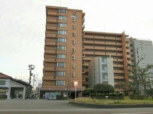 京都府京都市下京区中堂寺坊城町 11階建