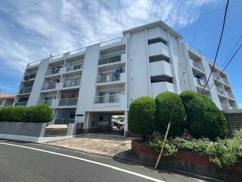 東京都葛飾区柴又３丁目 賃貸マンション