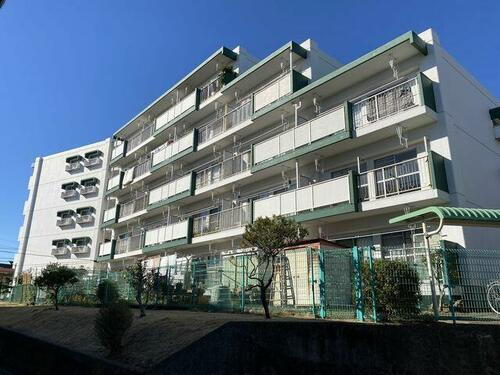 メゾン岸谷 5階建
