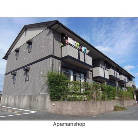 ピュアドーム１