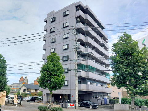 愛媛県松山市東石井４丁目 賃貸マンション
