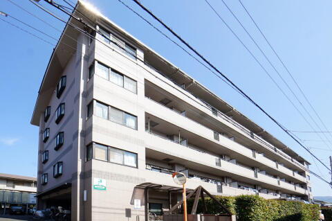 愛媛県松山市石手４丁目 賃貸マンション