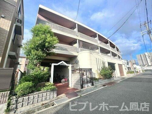 大阪府堺市西区鳳西町１丁 築34年10ヶ月 3階建