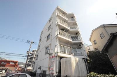 ヤングハイツハイマート 5階建