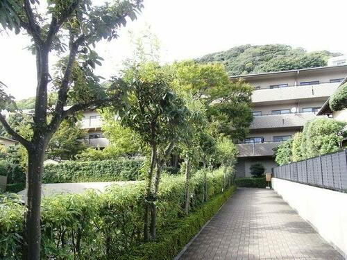 兵庫県神戸市東灘区岡本８丁目 賃貸マンション