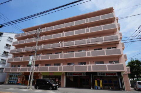 愛媛県東温市志津川 賃貸マンション