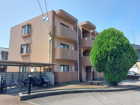 愛媛県松山市西長戸町 賃貸マンション