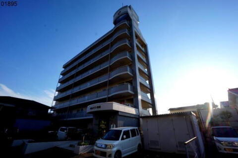 愛媛県松山市高浜町１丁目 賃貸マンション