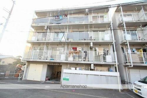 コートオリーブⅢ