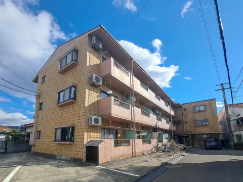 愛媛県松山市枝松１丁目 賃貸マンション