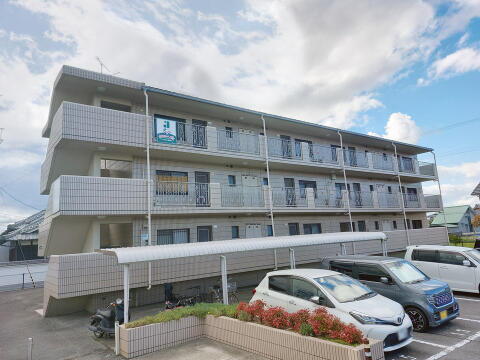 愛媛県松山市森松町 賃貸マンション