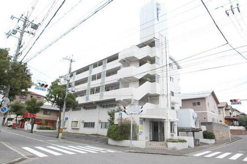 大一ヒルズ 5階建