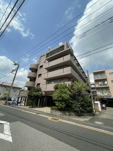 ルートホワイトⅡ