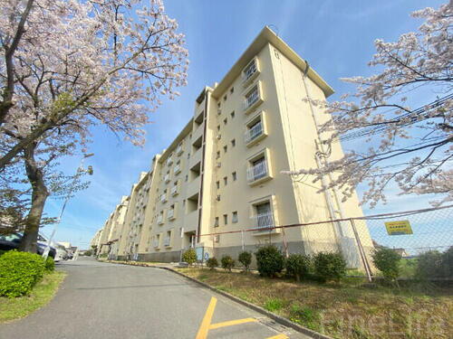 兵庫県神戸市垂水区南多聞台８丁目 5階建 築57年6ヶ月