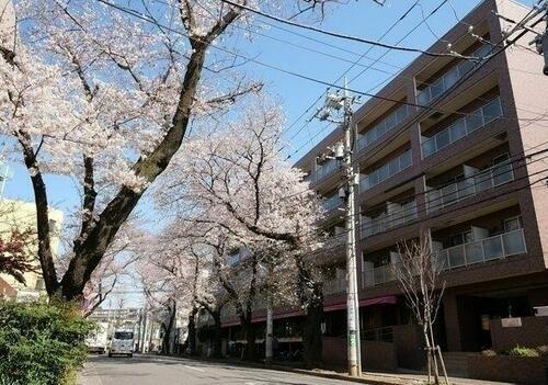 神奈川県横浜市青葉区美しが丘２丁目 5階建 築19年4ヶ月
