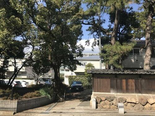 パインガーデン芦屋川ＰＨ　Ⅱ　Ｂ棟