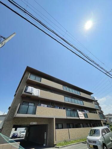 パルテール中もず