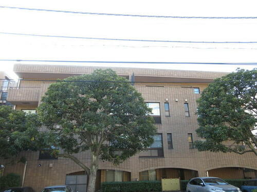 東京都渋谷区神宮前６丁目 築44年12ヶ月 5階建