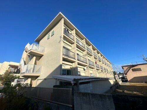 岩渕松鶴