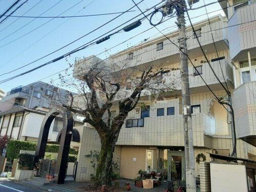 メイプル国立 地上4階地下1階建