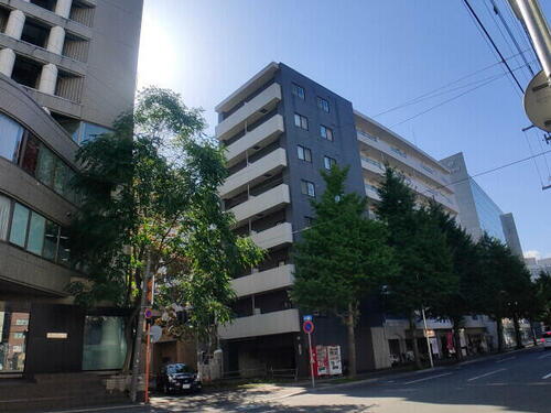 北海道札幌市中央区南三条西９丁目 8階建 築16年5ヶ月