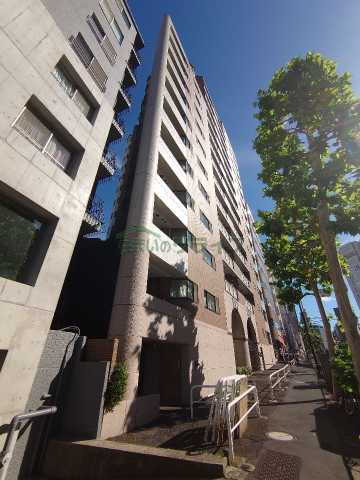 東京都新宿区荒木町 地上14階地下1階建 築28年3ヶ月