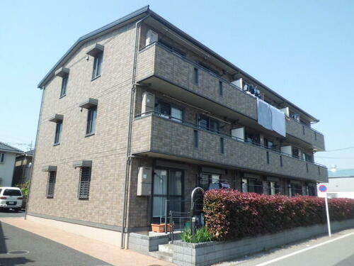 ジャーマンアイリスⅡ