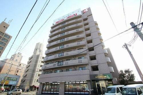 ロイヤルピジョン八田