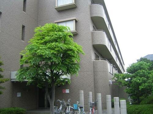 東京都葛飾区東水元１丁目 賃貸マンション