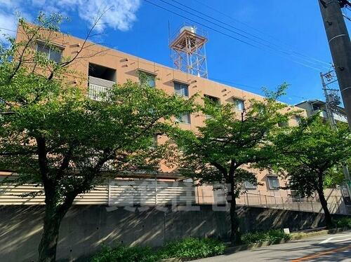 愛知県名古屋市瑞穂区大殿町２丁目 賃貸マンション