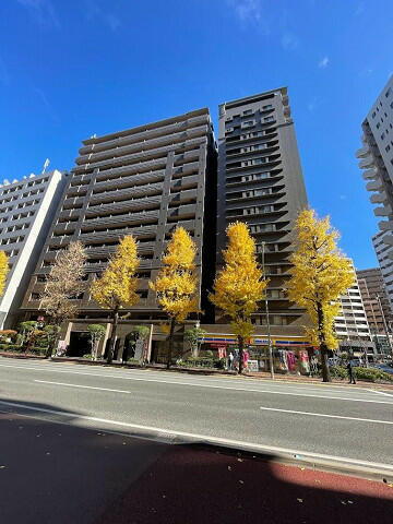 アクタス博多Ｖタワー 15階建