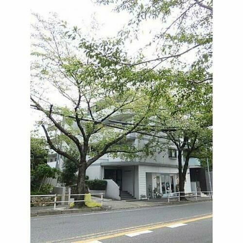 愛知県名古屋市名東区照が丘 賃貸マンション