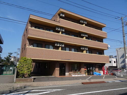 新潟県新潟市中央区西大畑町 4階建 築16年5ヶ月