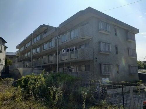 神奈川県横浜市戸塚区川上町 賃貸マンション