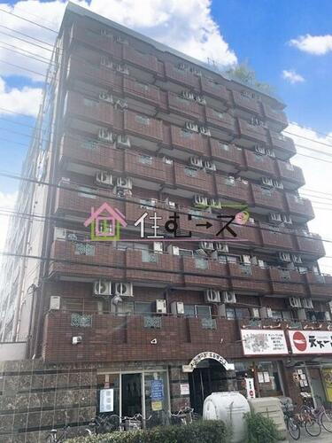 ルネッサンスエレガンス