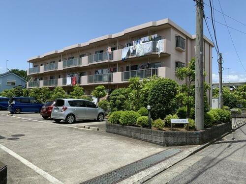 神奈川県藤沢市鵠沼神明４丁目 賃貸マンション