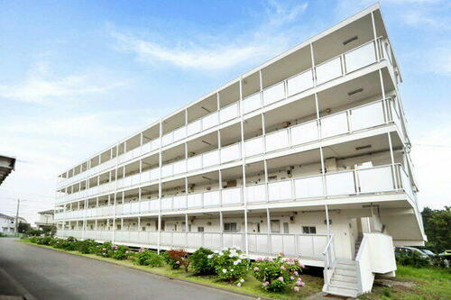 神奈川県横浜市旭区善部町 賃貸マンション